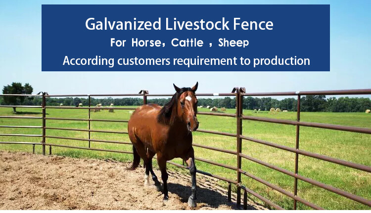 Australia Horse Galvanized Livestock Fencing Corral Welded Wire Horse Panels