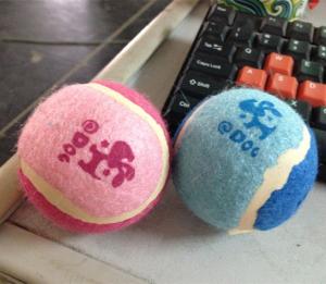Quality 2014 new pet products wholesale