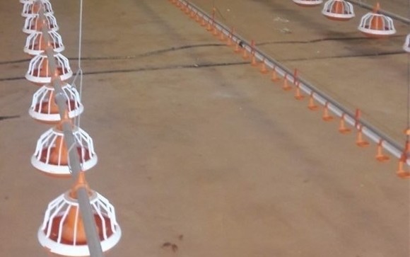 Open House Shed 2.2cm Chicken Nipple Drinker System