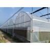 Buy cheap Hot Galvanized Frame Dome Lettuces Plastic Cover Greenhouse from wholesalers