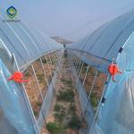 Hot Galvanized Steel 12m Single Tunnel Greenhouse