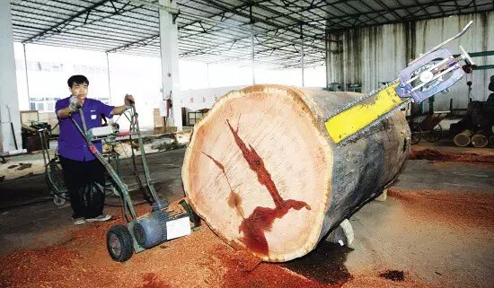 Portable Chainsaw Log Slasher Petrol Chain Saw Wood Cutting Machine
