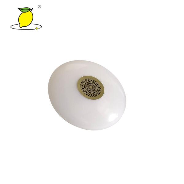 Energy Efficiency Bluetooth Music Lamp / Dimmable LED Ceiling Light Charge Time