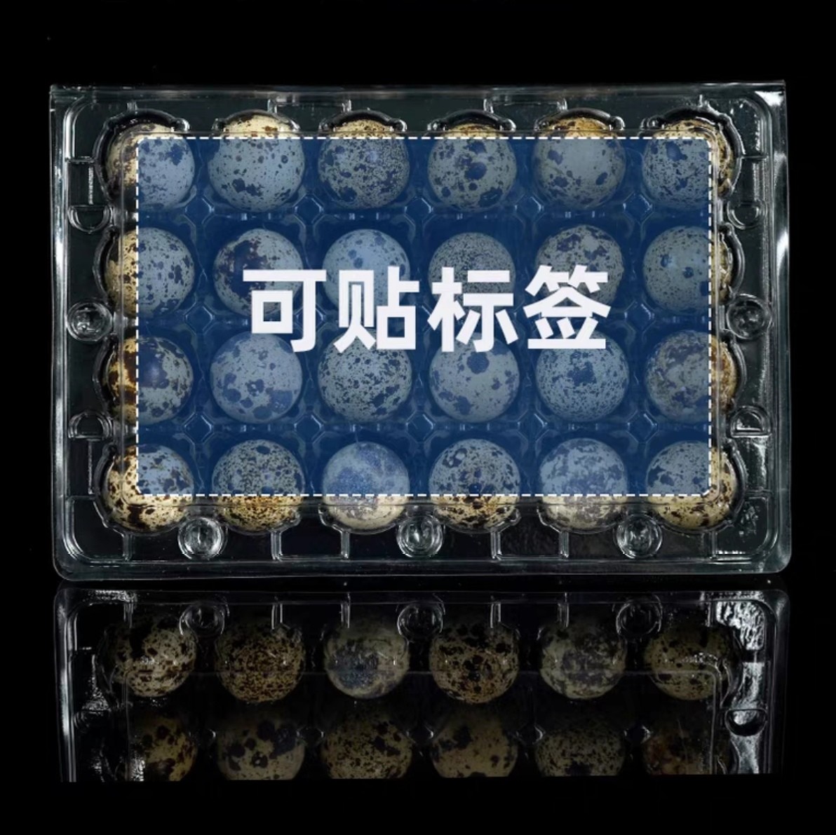 20 Hole Disposable Plastic Egg Packaging PET Transparent Egg Tray Portable