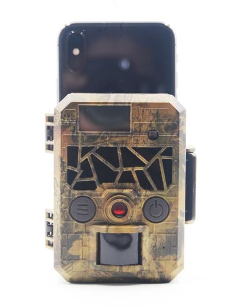 Cheap Digital Game Trail Hunting Camera 2 Inch LCD Screen For Deer Monitoring for sale