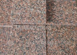 Quality G562 G664 Granite Slab Tiles Vanity Width 300*300 300*600mm For Indoor And Outdoor wholesale