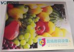 UV Flatbed Inkjet Sublimation Aluminum Sheets No Cleaning Needed Printing