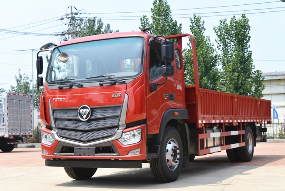 Foton 10tons dump truck light cargo truck small tipper truck left and right hand drive with good price
