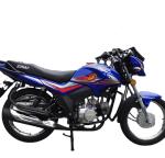 OEM High End 110cc Street Legal Motorcycle Gas/ Diesel Fueled