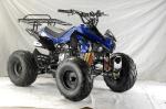 ATV 110cc,125cc,4-stroke,air-cooled,single cylinder,gasoline electric start