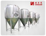 Stainless Steel Cylindro Conical Fermenter
