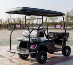 2+2 Person Modern Golf Cart Fast Electric Mini Mobility Steering Hunting Golf