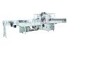 Single Automatic High Quality Channel Log Saw Tissue Packing Machine
