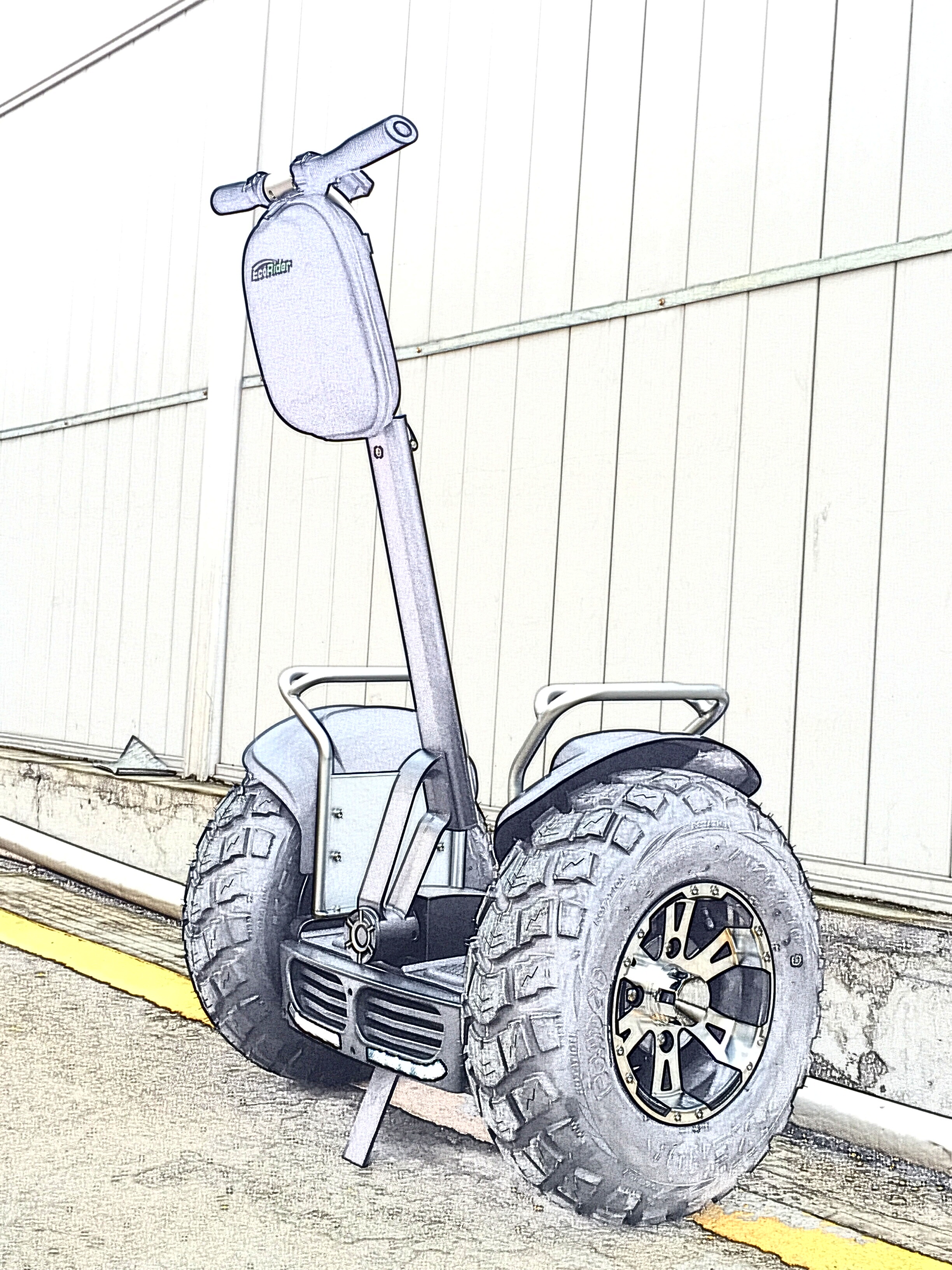 EcoRider Electric Chariot Scooter E8 x2, 2 Wheel Self Balancing Electric Scooter Price with Double Battery