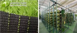 Quality Landscape Recycled Artificial Turf 30mm wholesale
