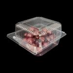Plastic Hinged Fruit Clamshell Packaging Thermoformed PET Customizable