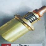 2117382 Temperature Control Valve