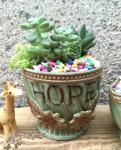 Succulent Creative English Word Plant Flowerpots