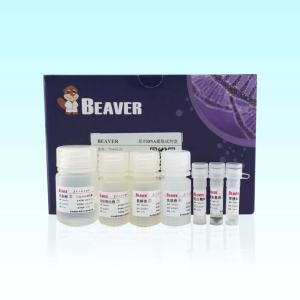 Quality BeaverBeads Tissue DNA Kit 20 Rxns High Purity For Extraction wholesale