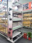 Animal Feeding Chicken Layer Cages 8 Tiers 9 Tiers H Type Layer Hen Cage