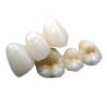 Buy cheap PFM Co Cr 3014652903 Ceramic Dental Bridge Custom Colour Stability from wholesalers