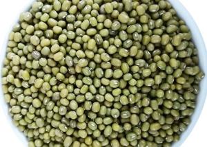 Quality Chinese Dried Green Mung Bean Natural Agricultural Products Ingredients wholesale