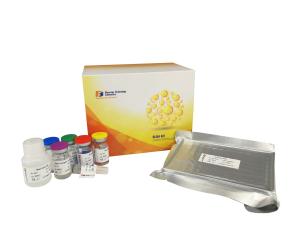 Quality Secretory Immunoglobulin Elisa Assay Kit , 96 Wells Immunoassay Test Kits wholesale