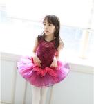 Children's ballet dress uniforms girls dance skirt lace bitter fleabane dress