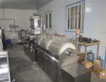 Stainless Steel Softgel Encapsulation Machine For Oval Oblong Shape Fish Oil /