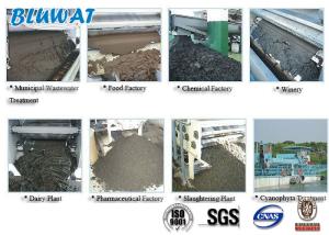 Quality White Powder Cationic Polyacrylamide for Sludge Dewatering wholesale