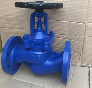 Quality DIN bellows globe valve PN16 body GG25 wholesale