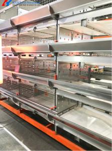 Quality Automatic Poultry Farming Equipment Broiler Chicken Cage Manufacturer wholesale