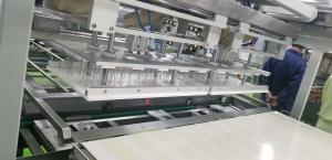 Quality Independent Controlled Needle Depanner wholesale