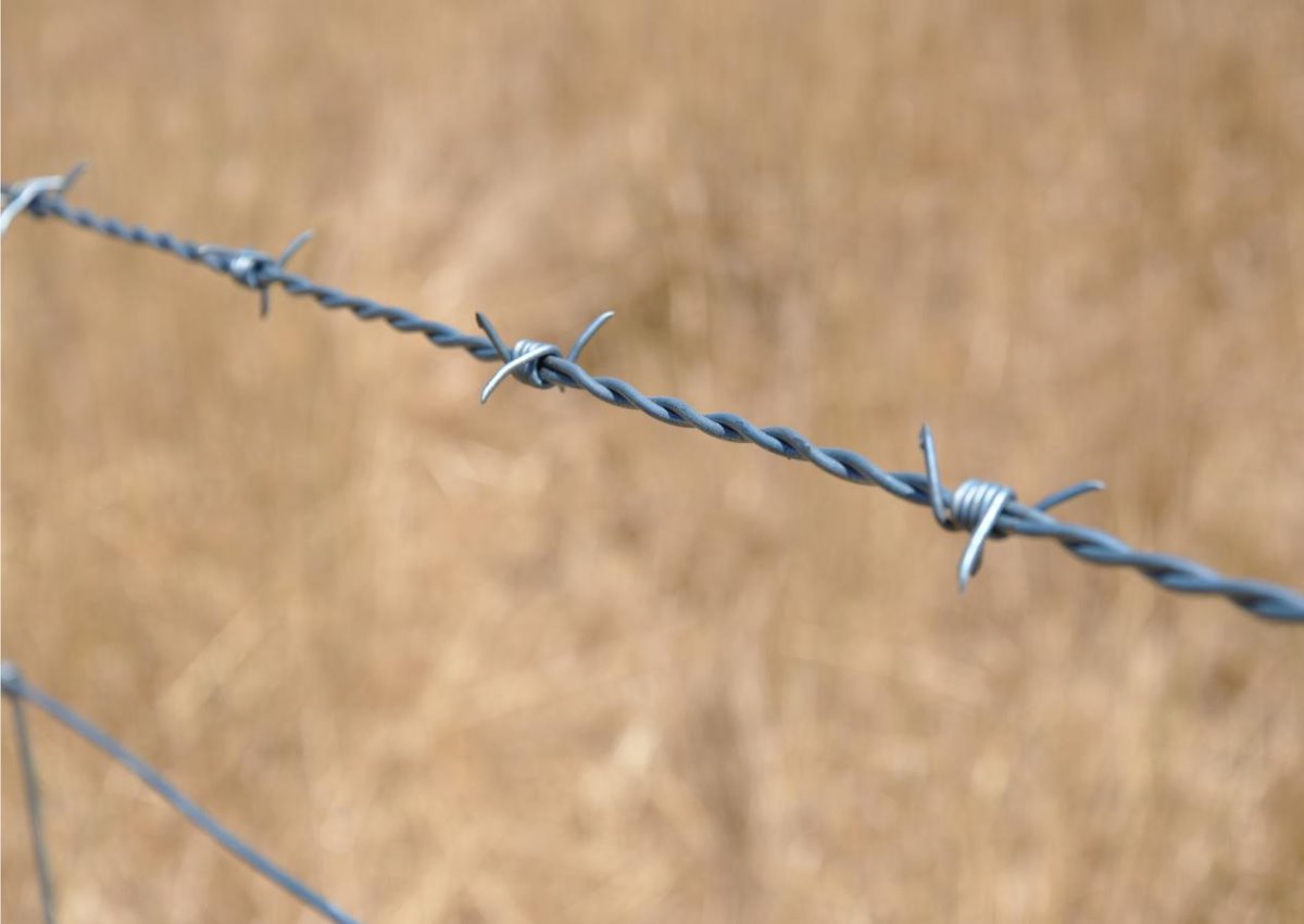 Factory Price 2.5mm Anti-climb Galvanized Barbed Wire Farm Outdoor Twisted Iron Barbed Wire For Sale