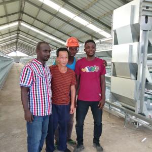 Quality Chicken House Laying Hens Cage，Battery Chickens Layer Cages Automatic wholesale