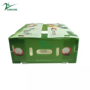 Quality Correx 10mm Plastic Archive Boxes Carton Coroplast Environmental Friendly wholesale