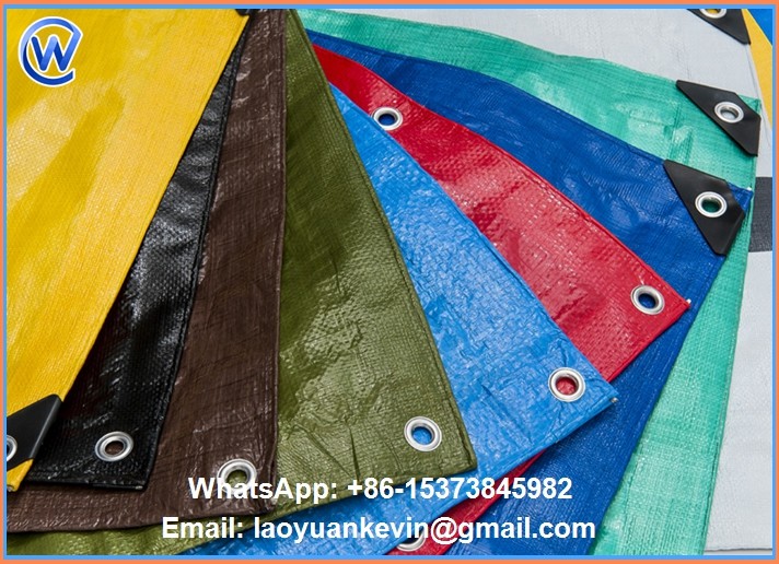 Hot Selling 260gsm car covering cloth pe tarpaulin Waterproof Cover in rain