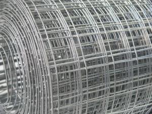 China SS 304 Weld Mesh Fence Panels Anti Rust For Agriculture / Construction on sale