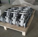 PN16 DN80 GOST cast steel gate valve