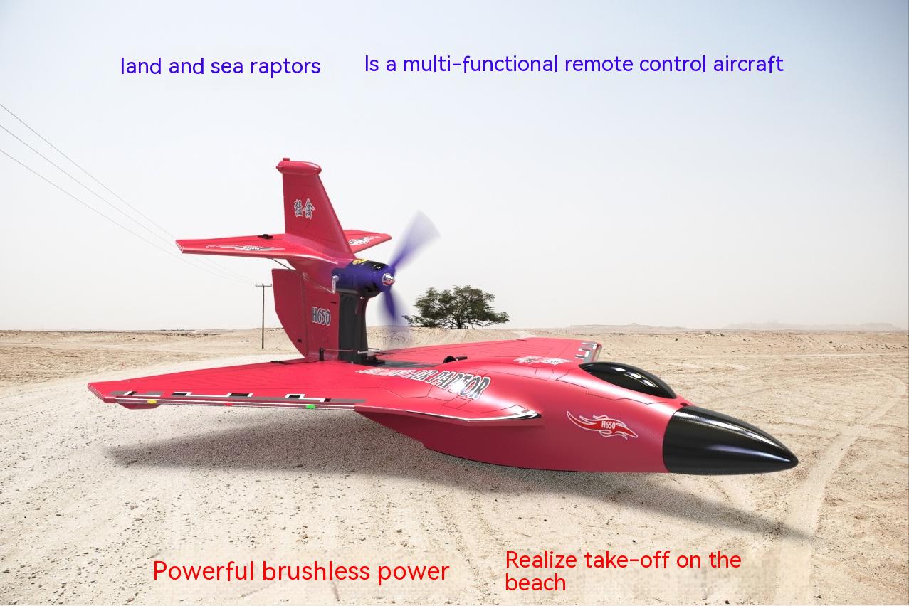 Electric Power Raptor H650 Long Range 2.4g Proportional Sea Land Air Led Aerobatics Stunt RC Glider with 6 Channels Control