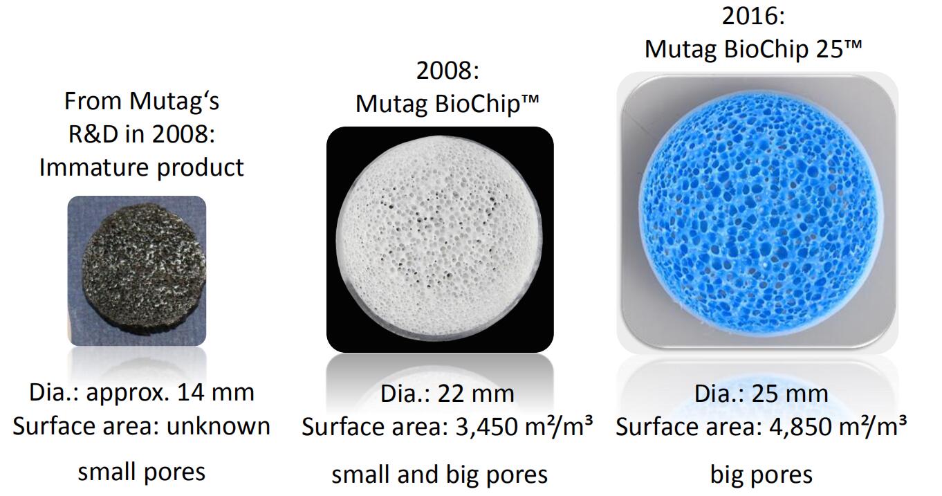 Dia 30mm Mutag Biochip For Improved Performance In Biofilm Reactors