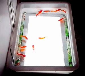 Quality 300mm*300mm led aluminium outdoor waterproof panel lamp wholesale