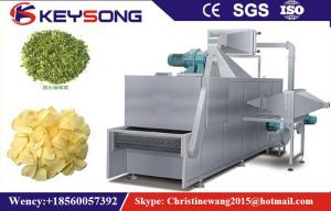 Quality SteamTunnel Fruit Drying Equipment , Stainless Steel Fruit Dehydration Machine wholesale