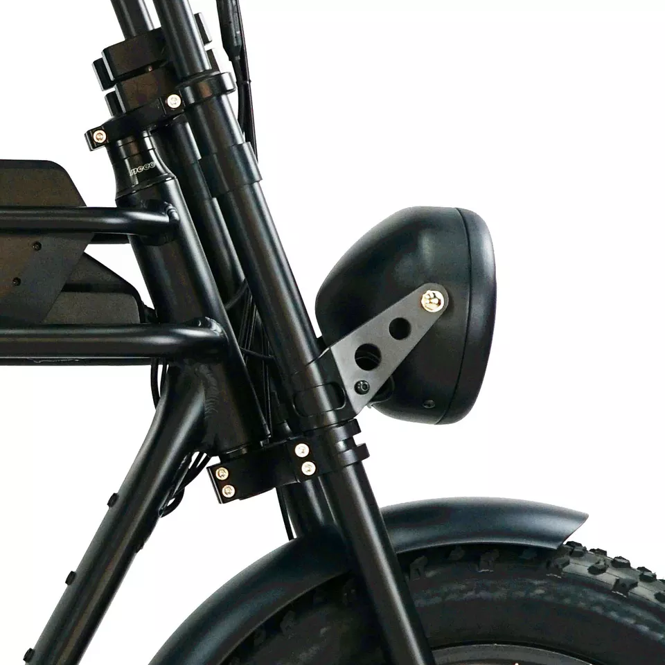 48V1000W Motor Full Suspension Shock Electric Retro Bike with Customised Beach Bikes Cruisers