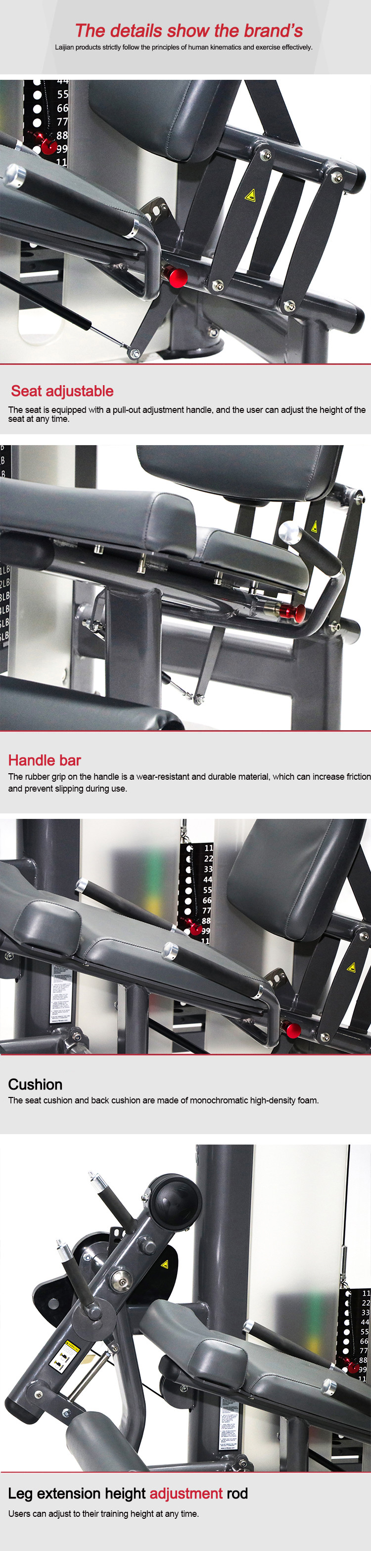 China gym fitness exercise equipment seated leg extension stretching machine