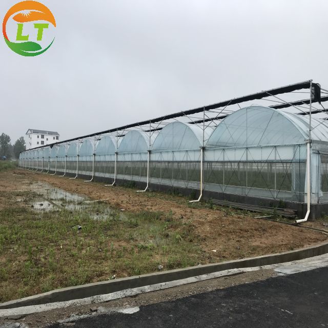 Double Layer Anti Insect Net for Agriculture Greenhouses Cover Plastic Film Effective