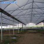 Clear 200 Micron PE Film Agricultural Greenhouse Multi Span Greenhouse
