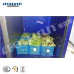 Vacuum Cooler for Vegetables Fast Cooling Air Cooled Condenser Video Inspection