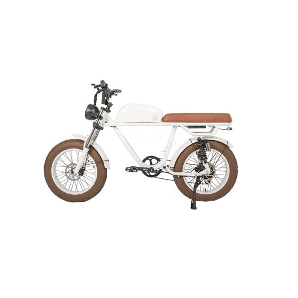 LCD Display Electric Bike with 48V Battery 750W 1000W Motor 7 Speed and Vintage