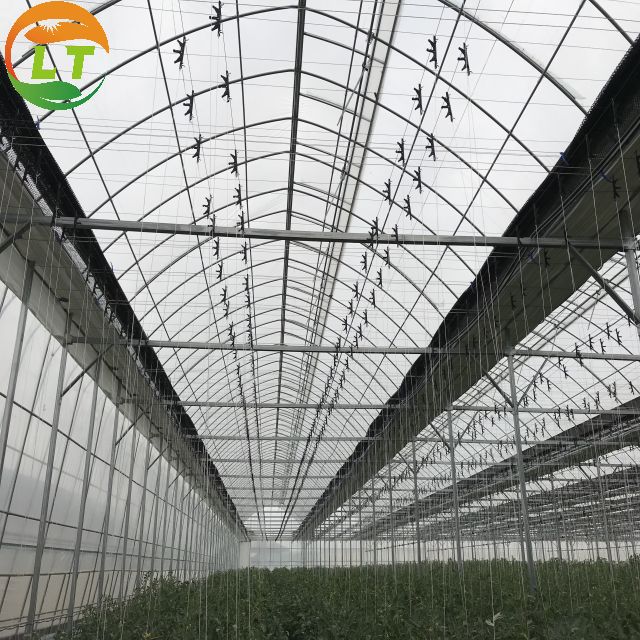 LiTai Multi-Span Film Greenhouse 10-100m Length for Hydroponic Microgreens Harvesting